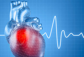 A brief introduction to cardiovascular diseases | mHospitals